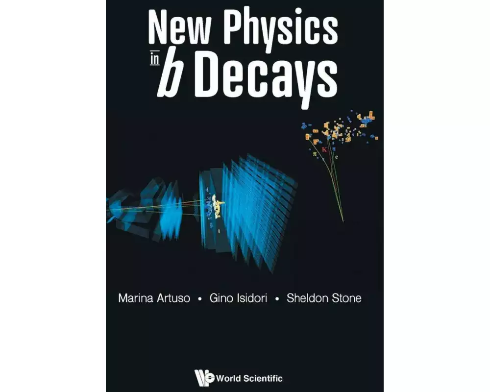 New Physics In B Decays