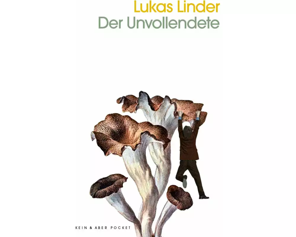 Der Unvollendete
