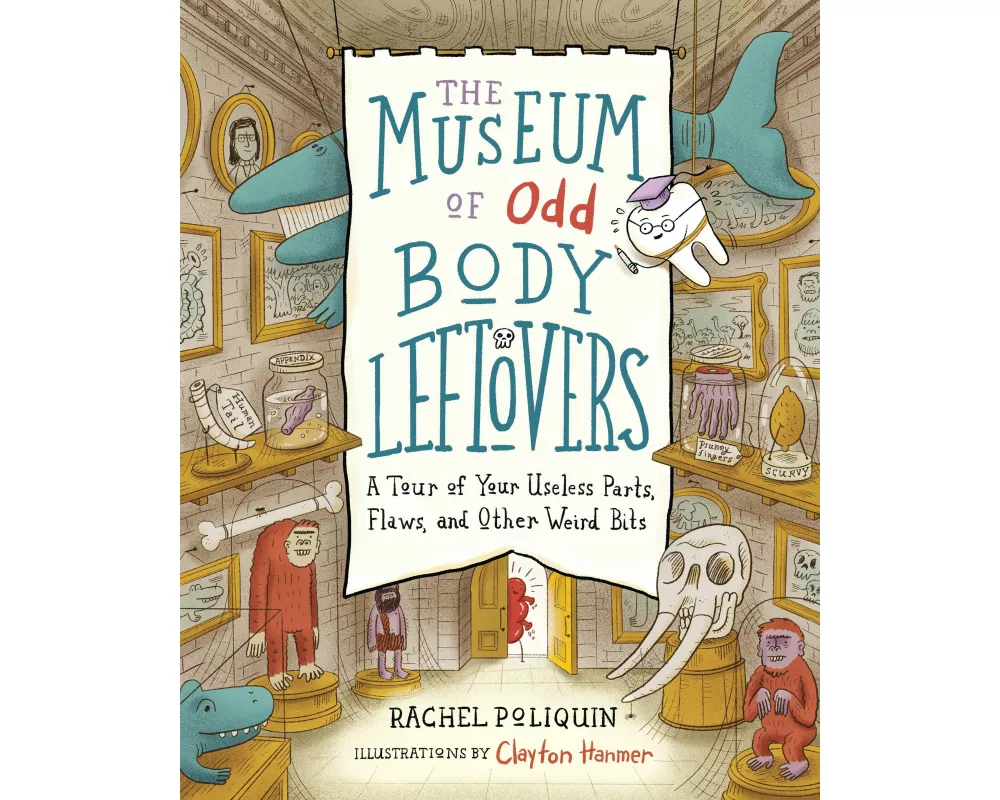 The Museum of Odd Body Leftovers