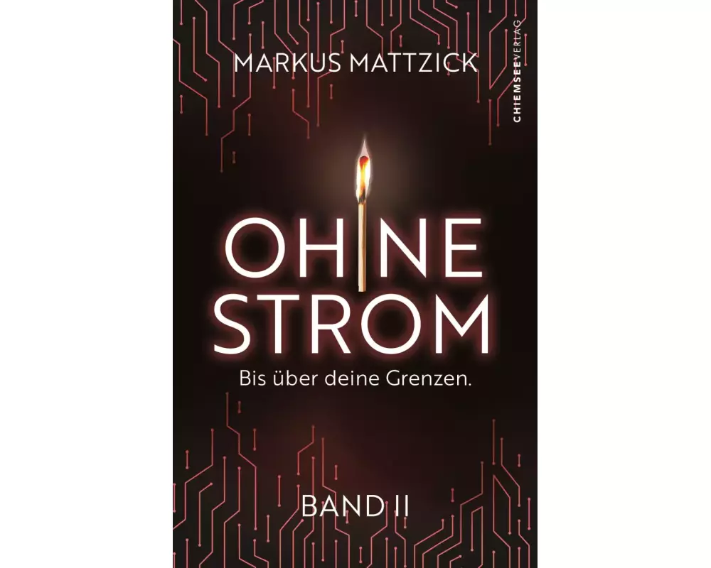 Ohne Strom - Bis über deine Grenzen (Band 2)