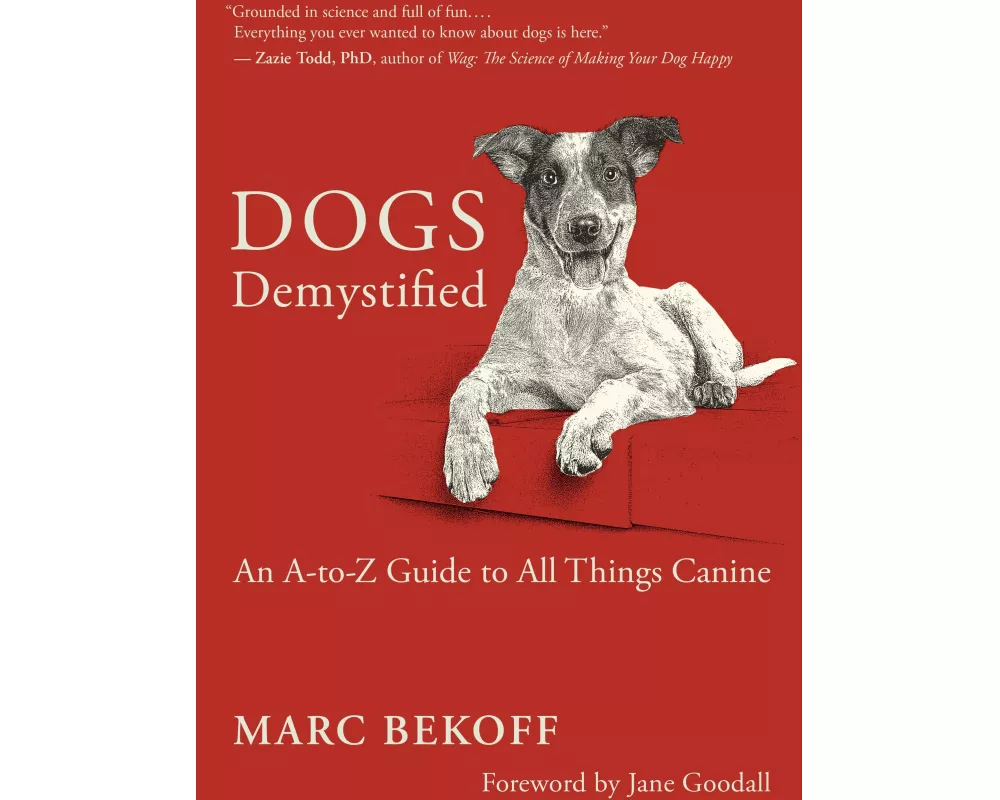 Dogs Demystified