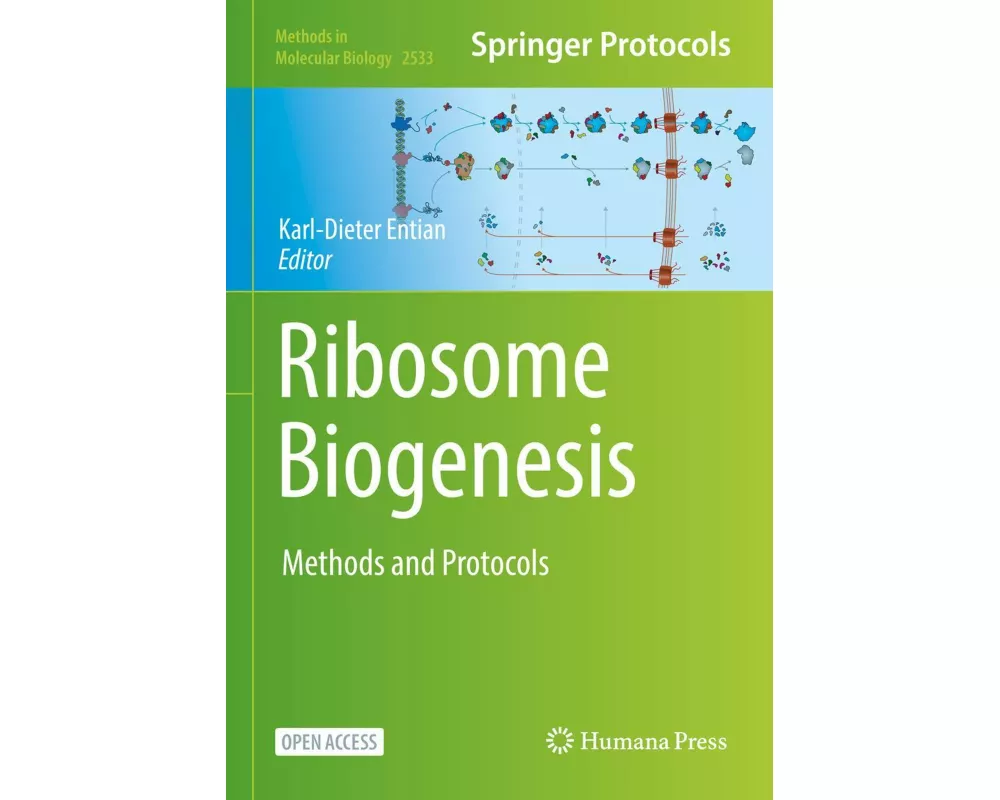 Ribosome Biogenesis