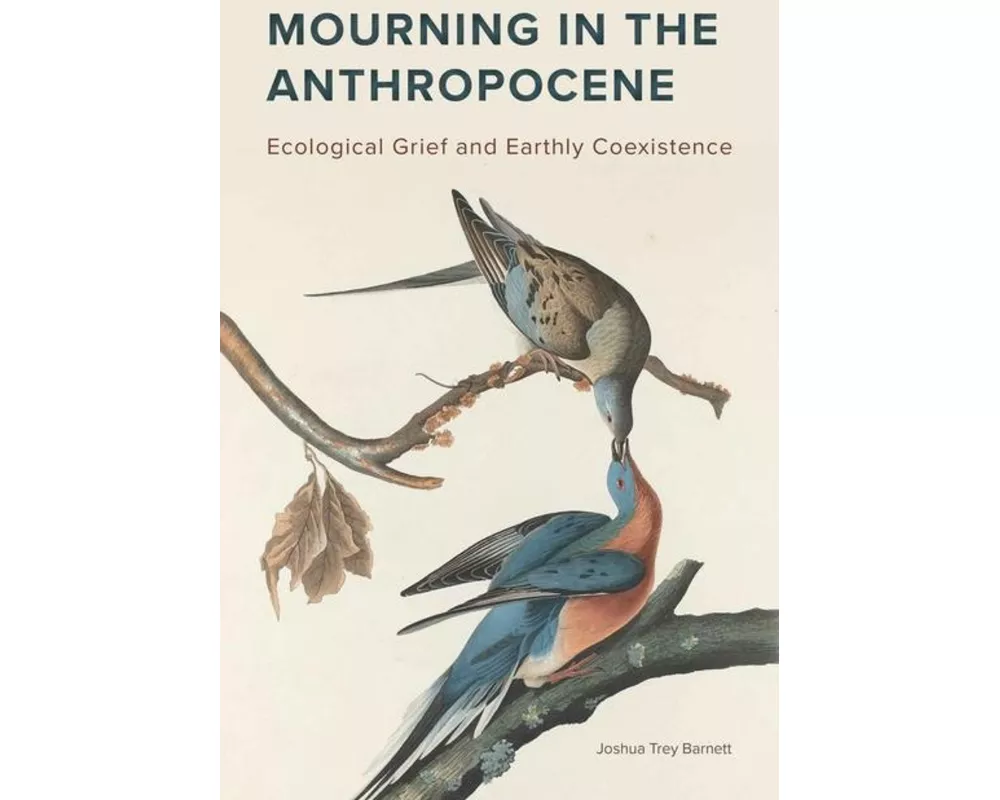 Mourning in the Anthropocene