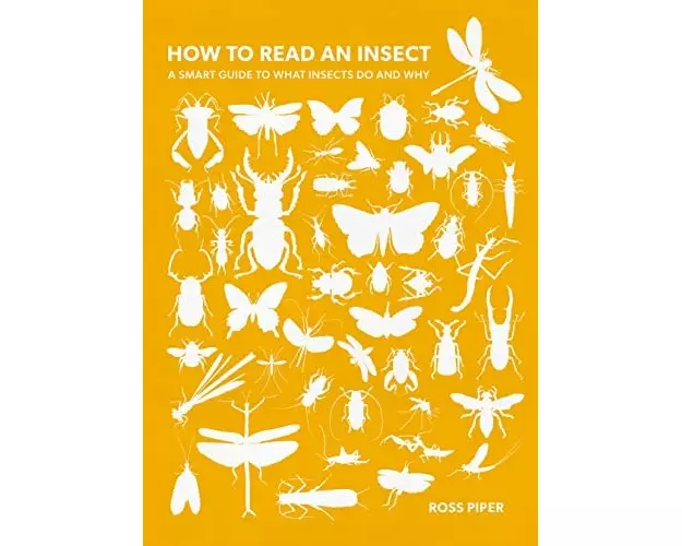 How to Read an Insect