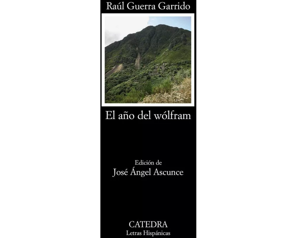 El año del Wólfram