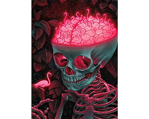 The Birdbrain