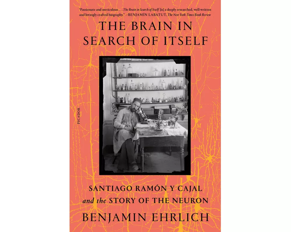 The Brain in Search of Itself