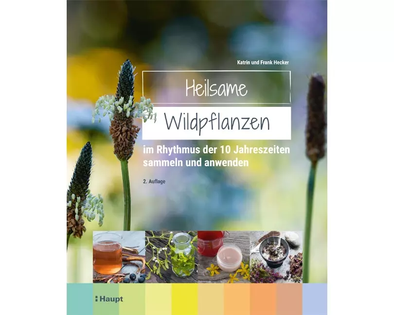 Heilsame Wildpflanzen