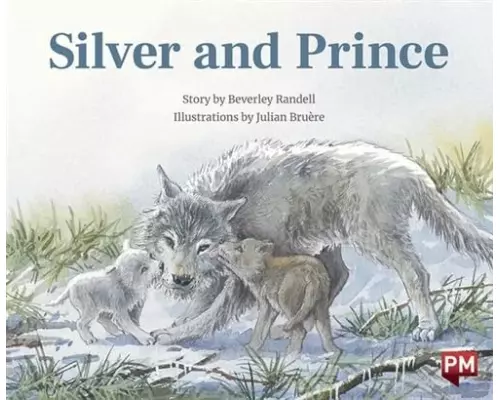 Silver And Prince