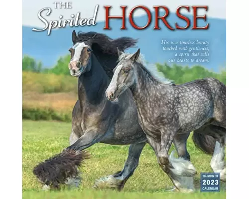 Spirited Horse The