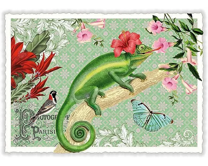 Postkarte / Chamäleon / quer / blanko