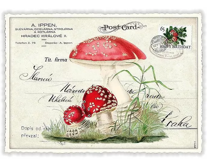 Postkarte / Fliegenpilz / quer / blanko