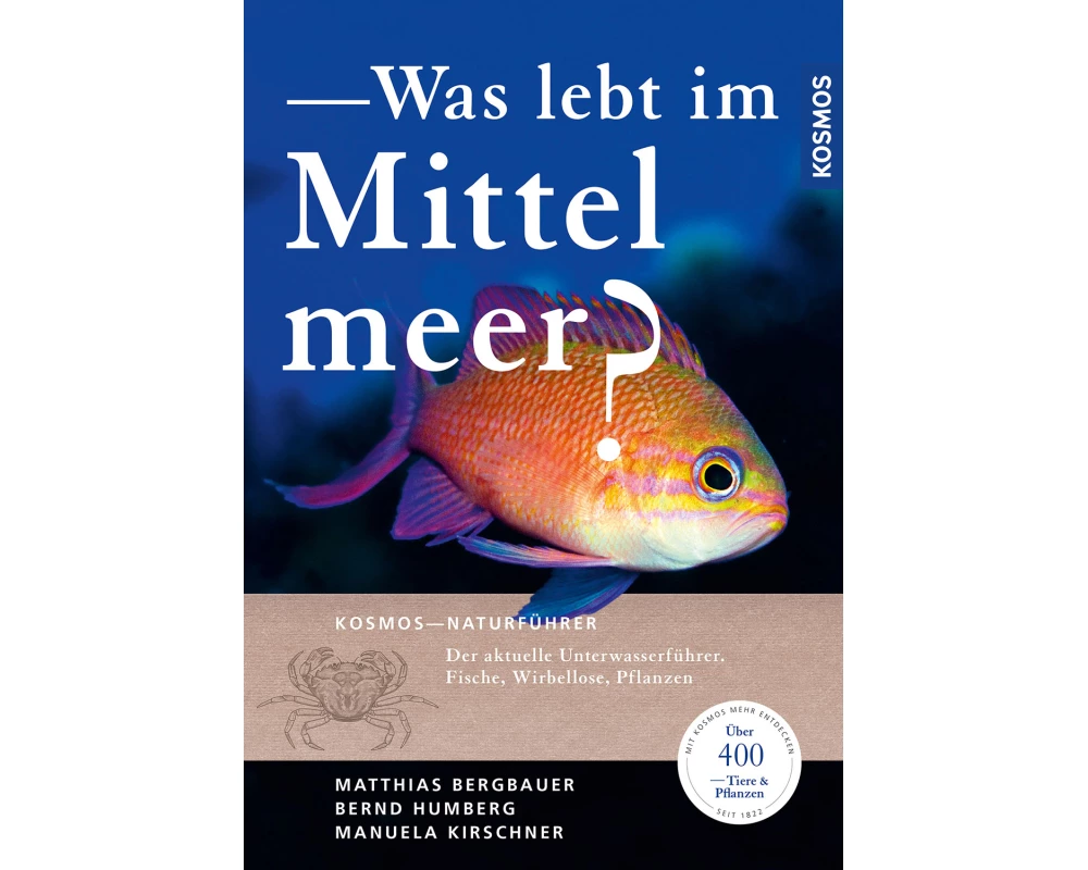 Was lebt im Mittelmeer?
