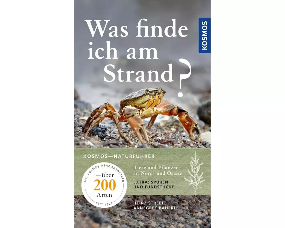 Was finde ich am Strand?