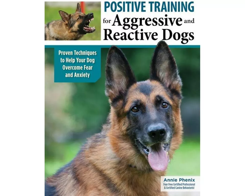 Positive Training for Aggressive & Reactive Dogs
