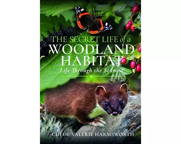 The Secret Life of a Woodland Habitat