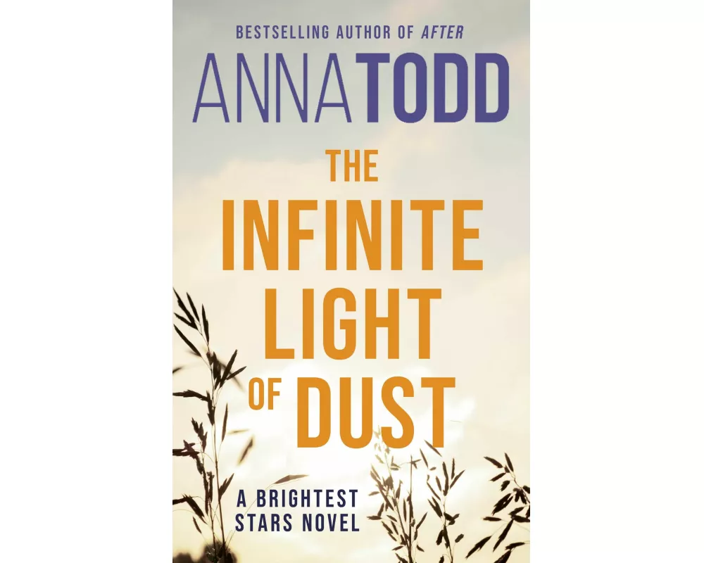 The Infinite Light of Dust