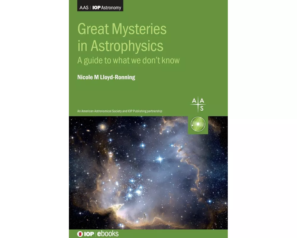 Great Mysteries in Astrophysics