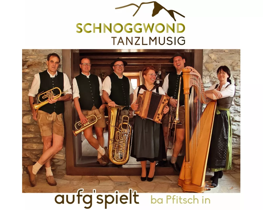 aufg'spielt ba Pfitsch in-Instrumental