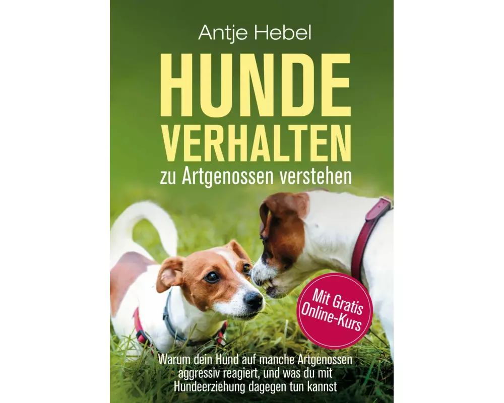Hundeverhalten zu Artgenossen verstehen