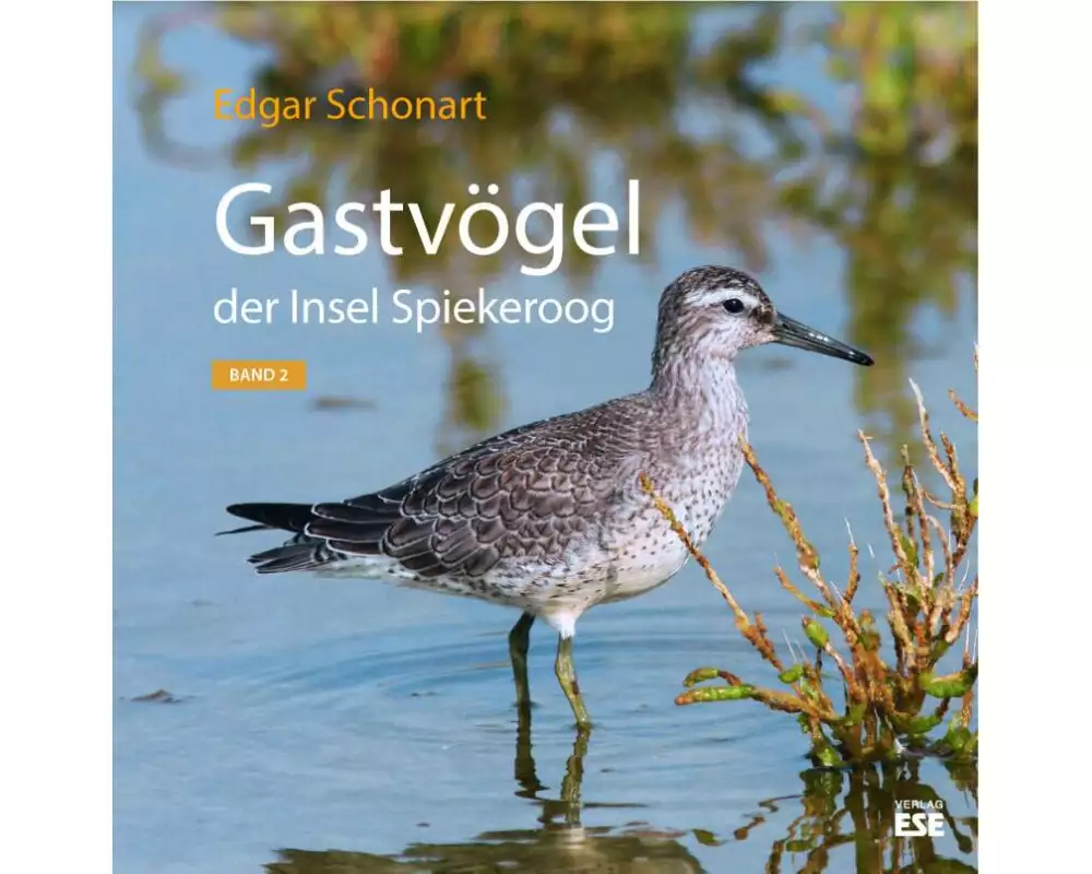 Gastvögel der Insel Spiekeroog 02