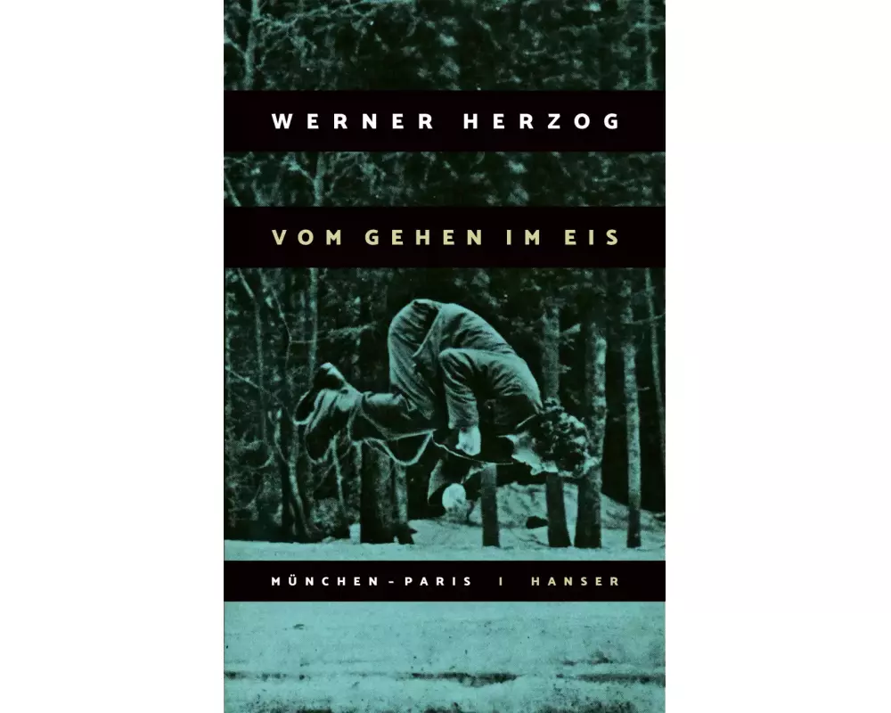 Vom Gehen im Eis