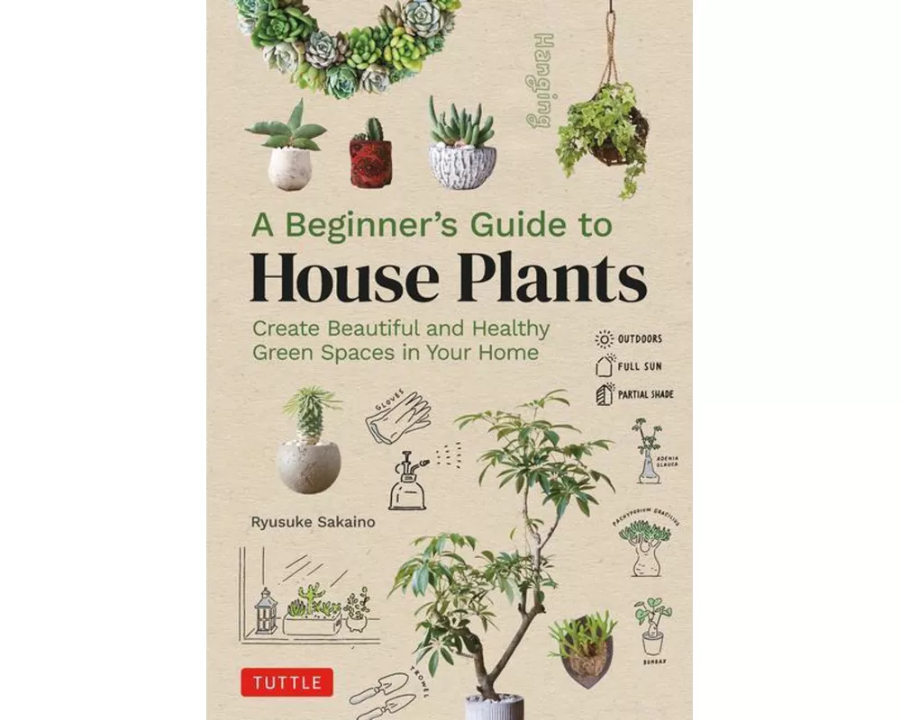 A Beginner's Guide to House Plants