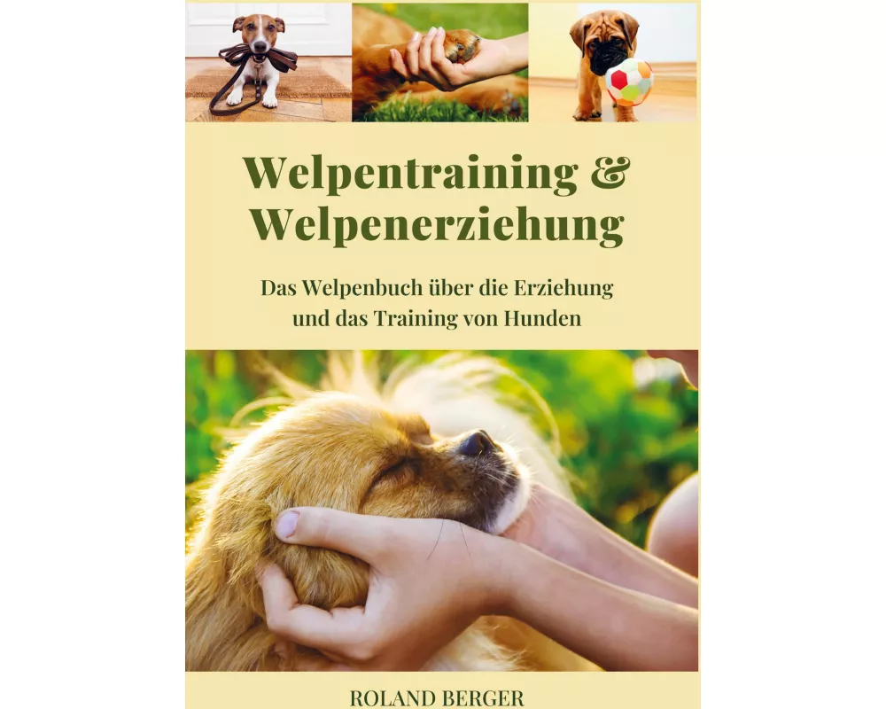 Welpenerziehung und Welpentraining