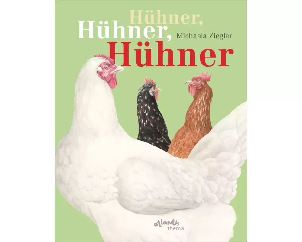 Hühner, Hühner, Hühner
