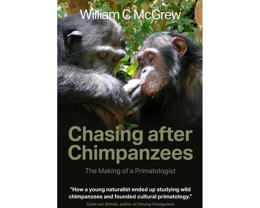 Chasing After Chimpanzees