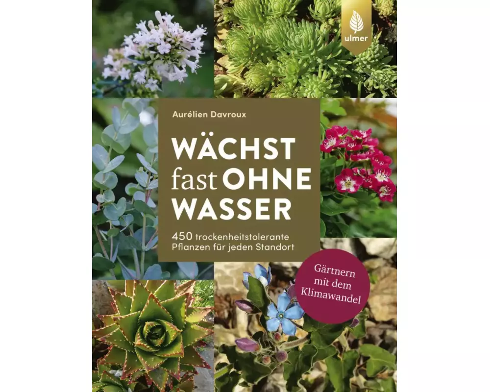 Wächst fast ohne Wasser