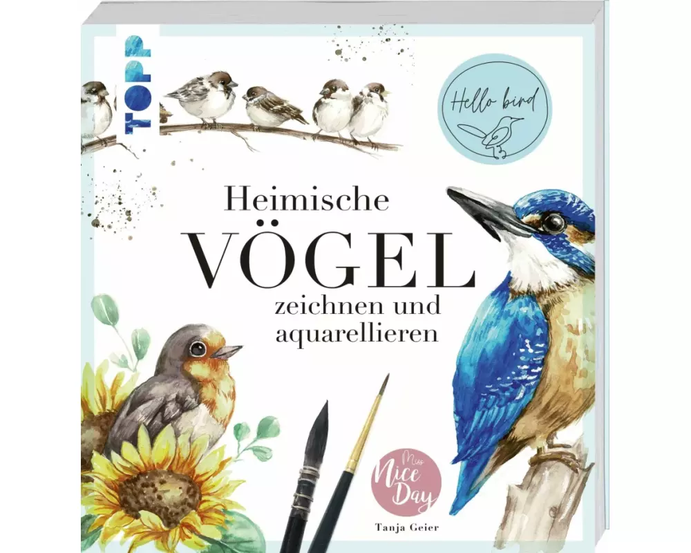 Heimische Vögel zeichnen und aquarellieren