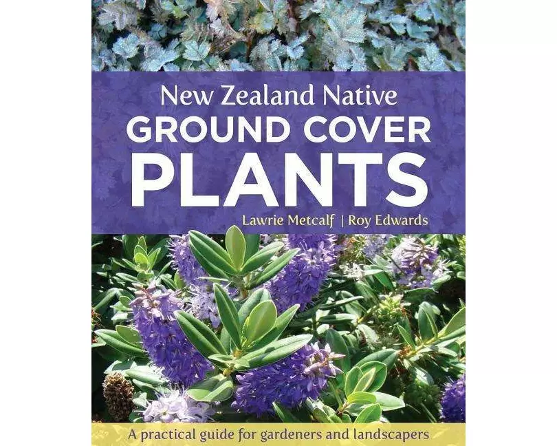 New Zealand Native Ground Cover Plants: A Practical Guide for Gardeners and Landscapers