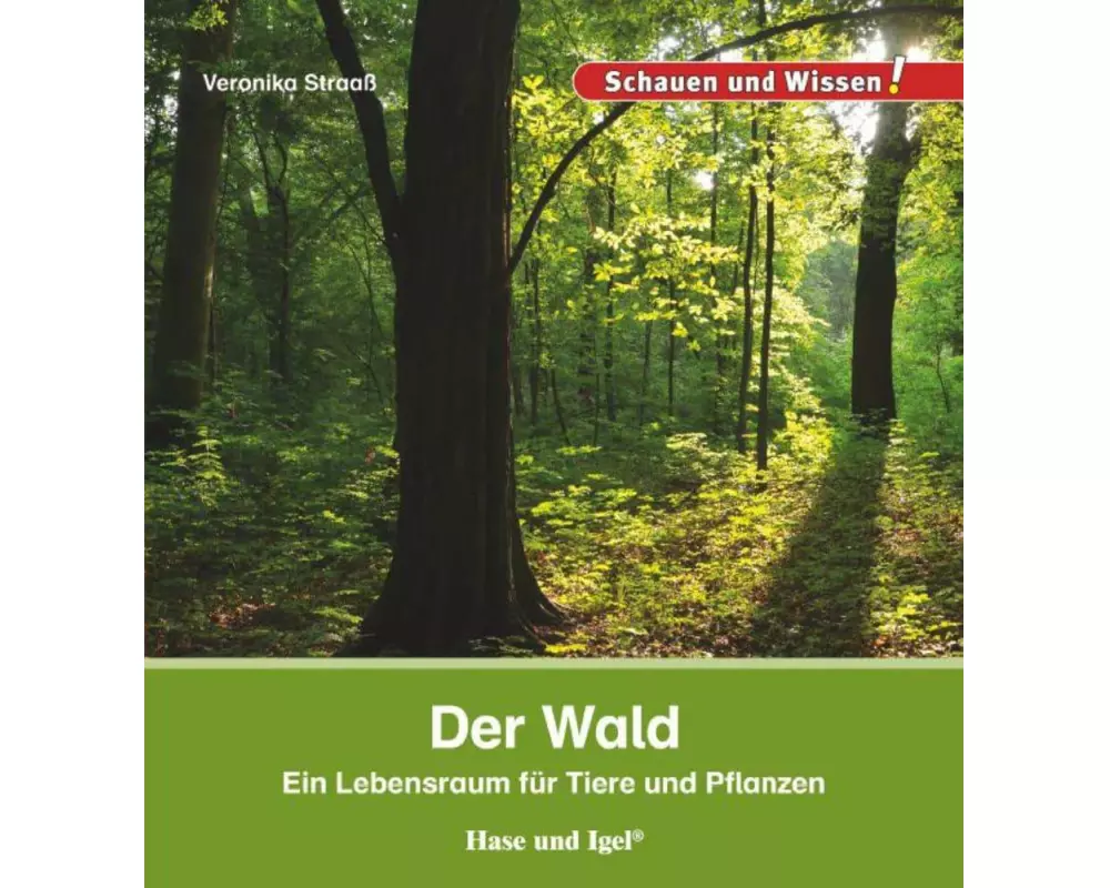 Der Wald