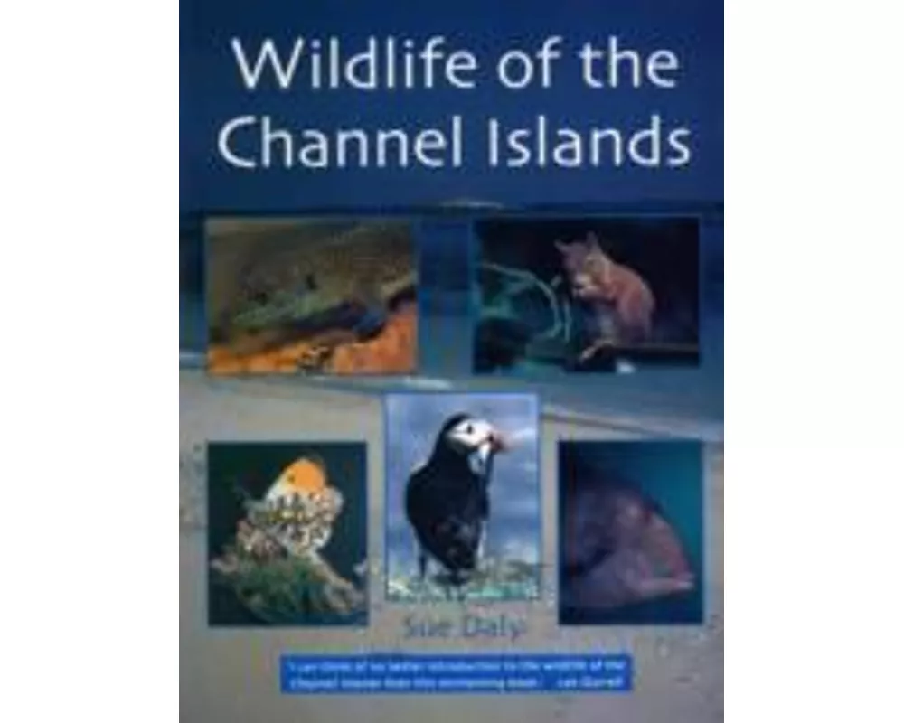 Wildlife of the Channel Islands