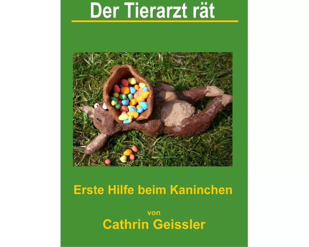 Der Tierarzt rät - Erste Hilfe beim Kaninchen