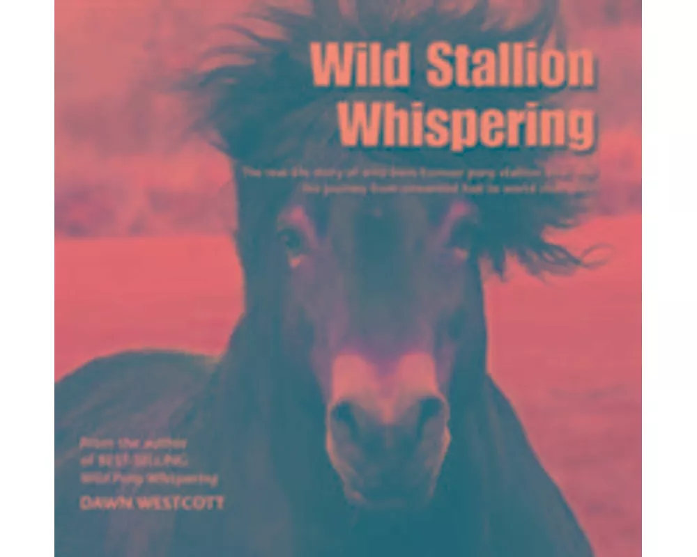 Wild Stallion Whispering
