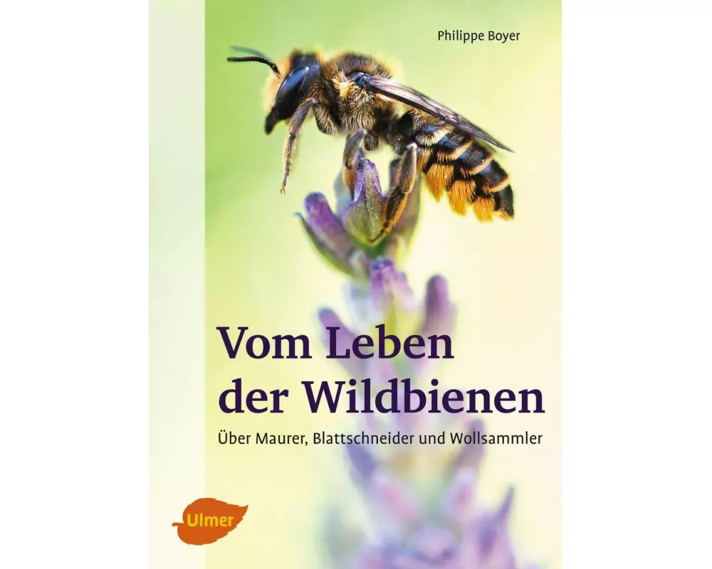 Vom Leben der Wildbienen