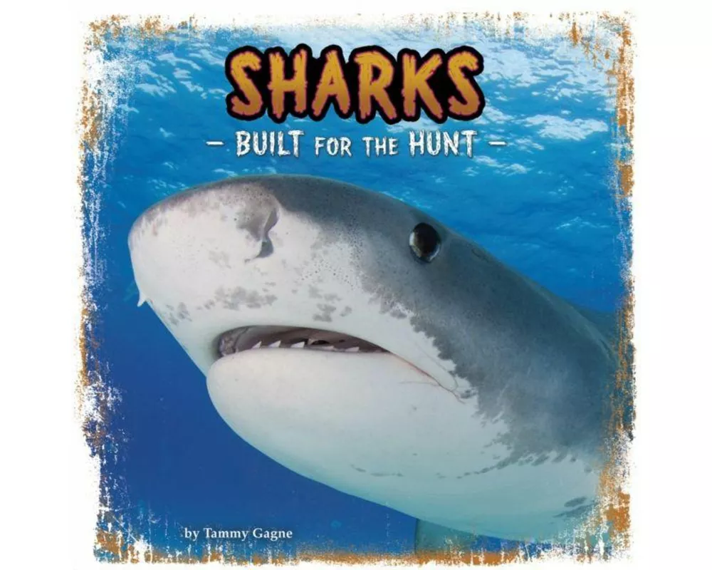Sharks
