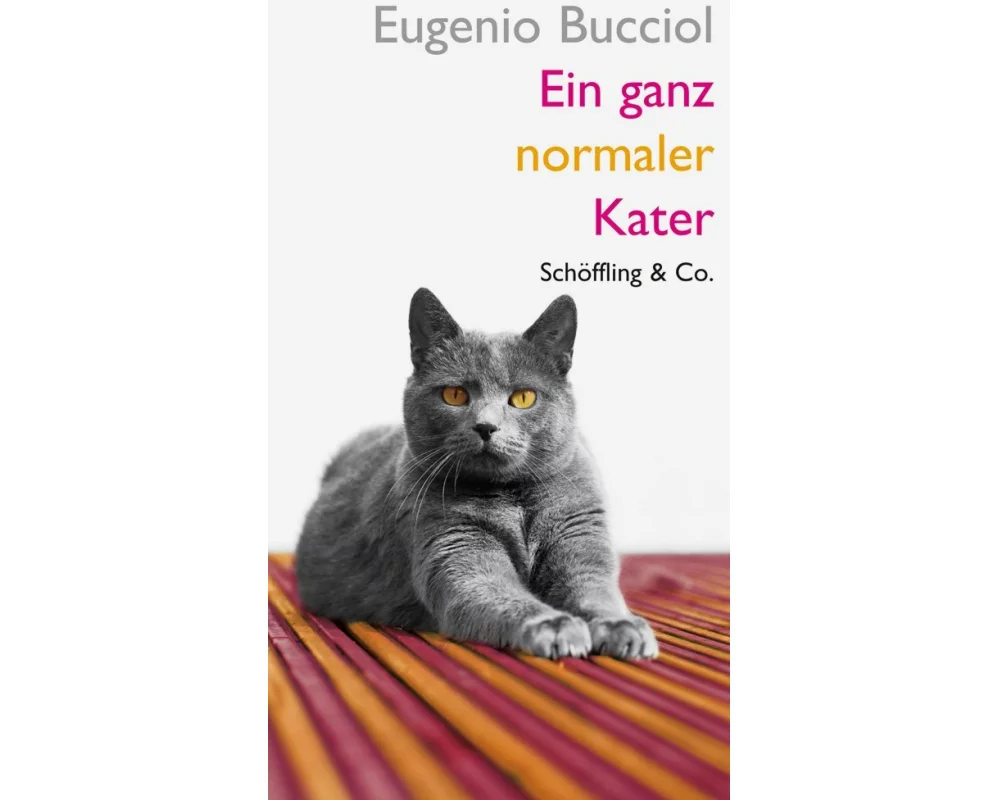 Ein ganz normaler Kater