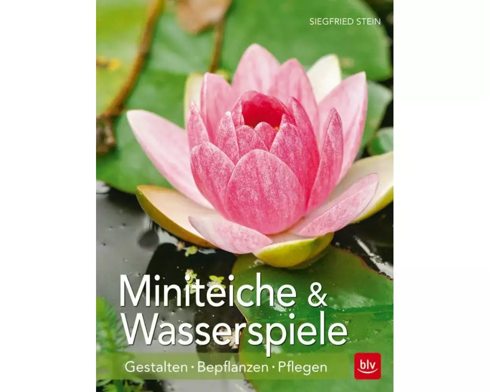 Miniteiche und Wasserspiele