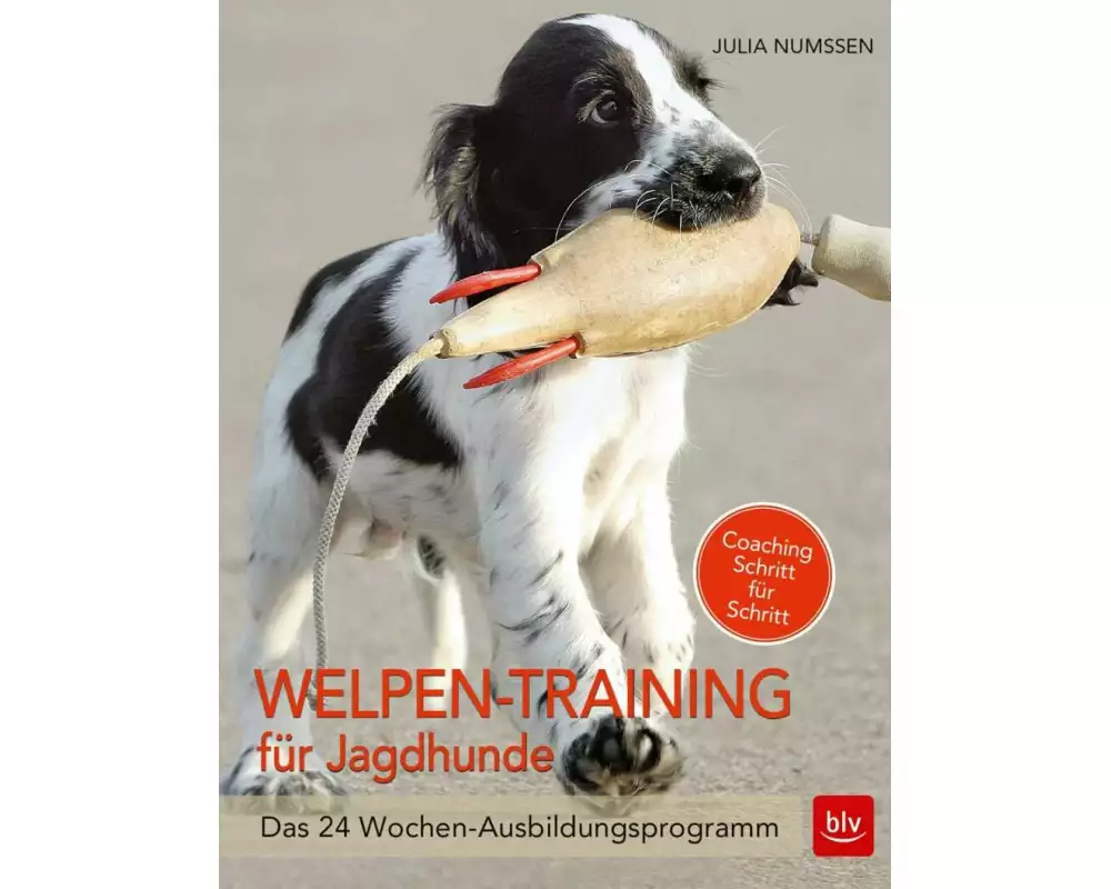 Welpen-Training für Jagdhunde