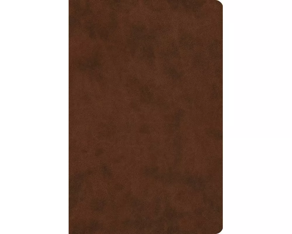 ESV Value Compact Bible
