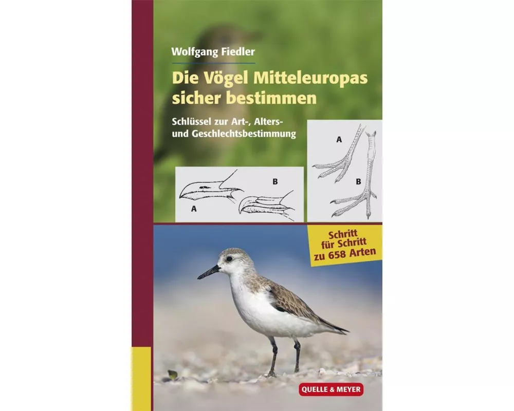 Die Vögel Mitteleuropas sicher bestimmen. Band 1