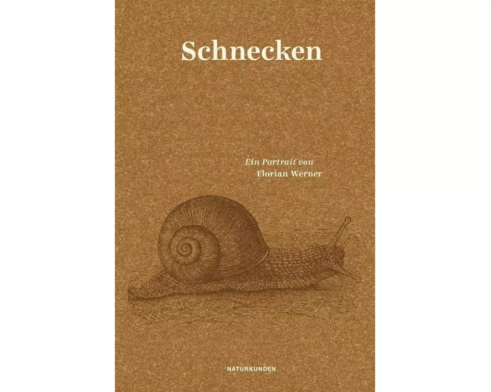 Schnecken