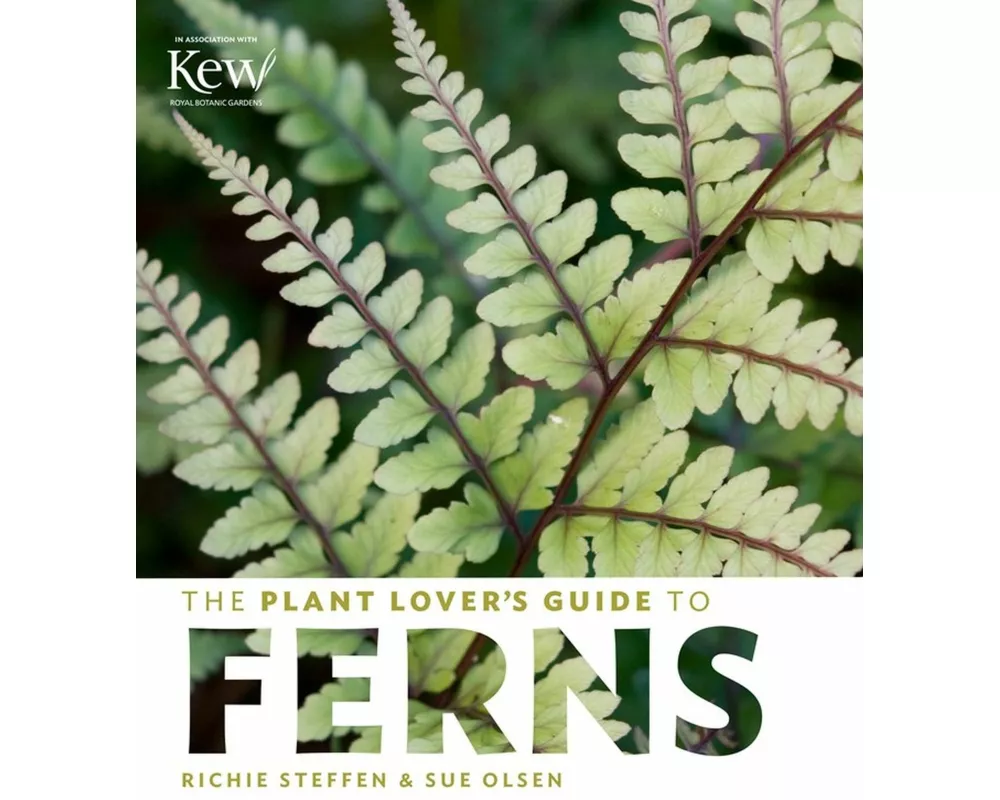 The Plant Lover's Guide to Ferns