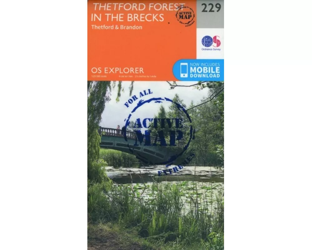 Thetford Forest in the Brecks