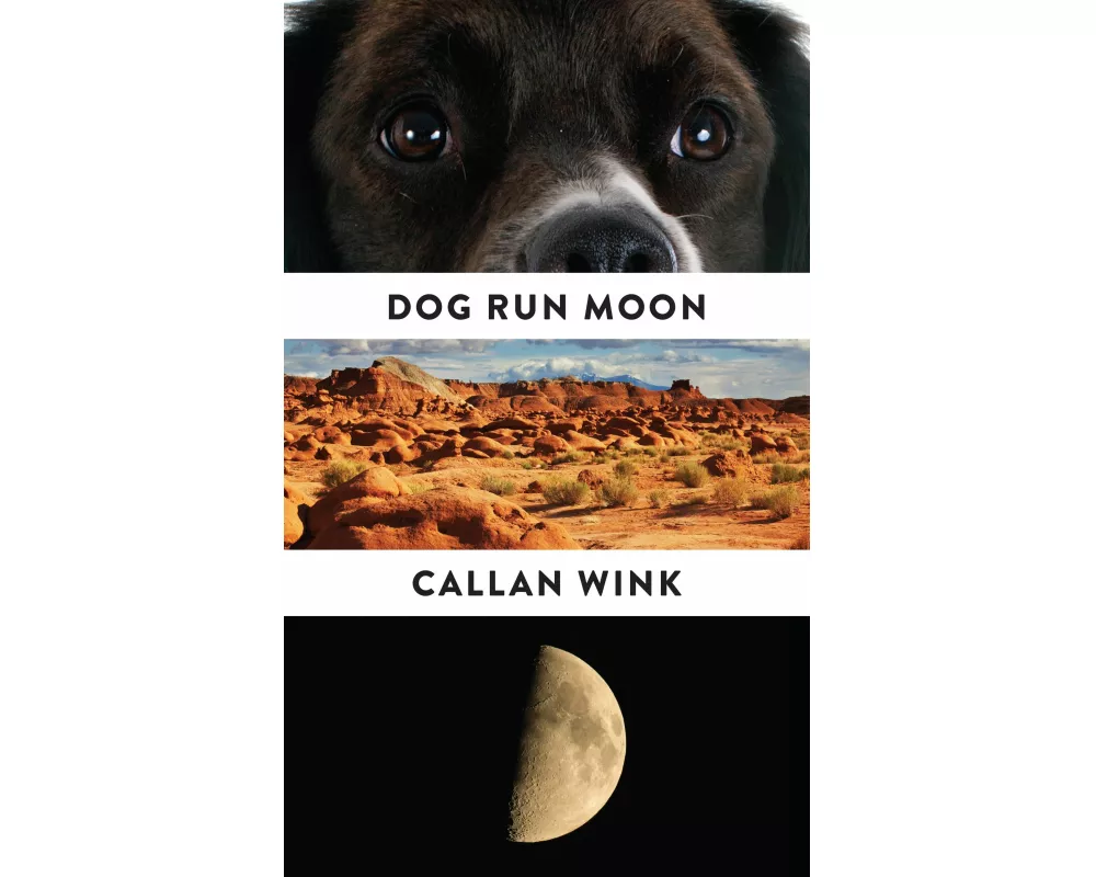 Dog Run Moon