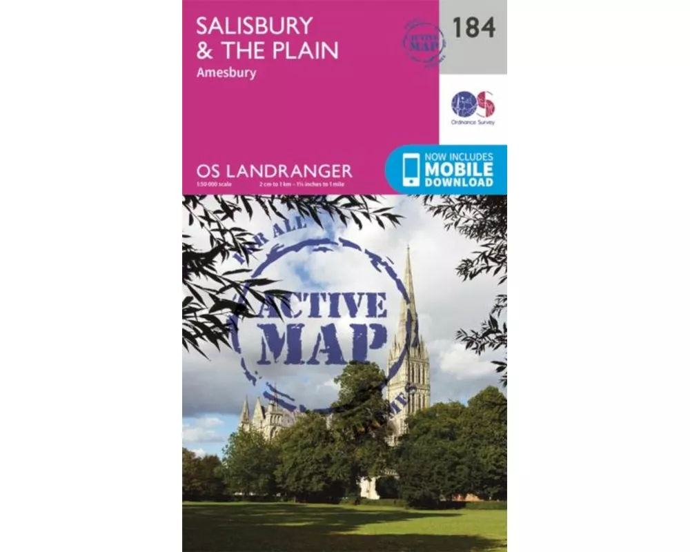 Salisbury & the Plain, Amesbury