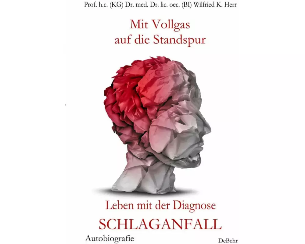 Mit Vollgas auf die Standspur - Leben mit der Diagnose Schlaganfall - Autobiografie